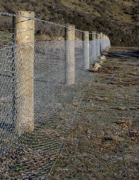 Rabbit Netting